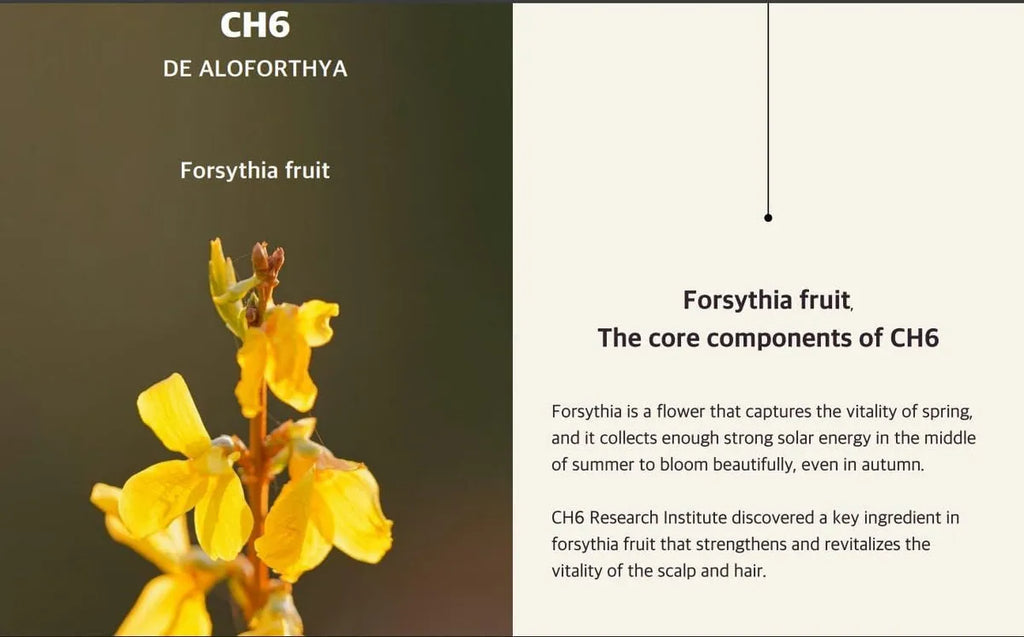 Wasfa Kalwanji CH6 Hair Growth Serum 140ml