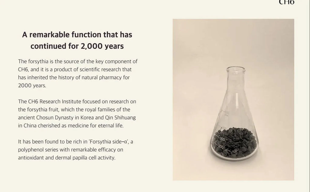 Wasfa Kalwanji CH6 Shampoo